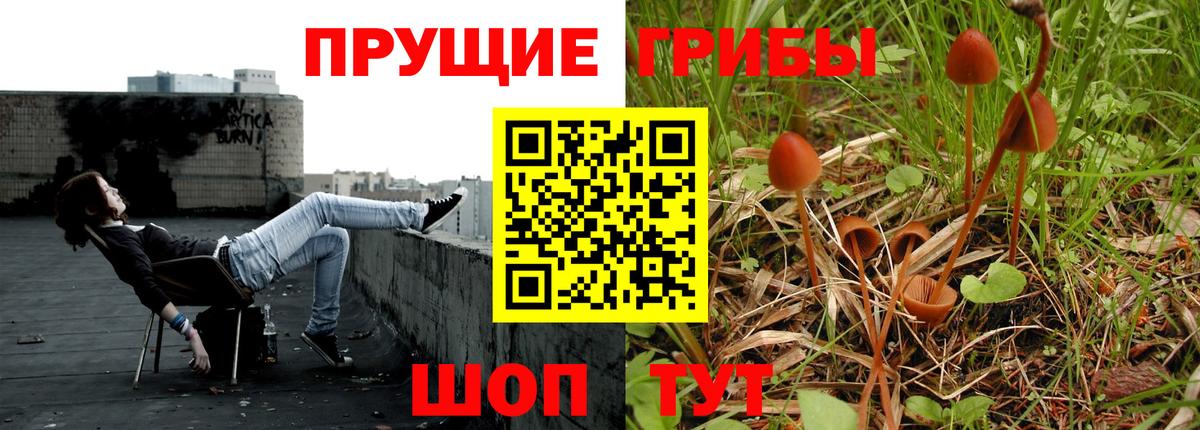 Галлюциногенные грибы прущие грибы  Вход с VPN  Ржев  Псилоцибиновые грибы MAGIC MUSHROOMS 