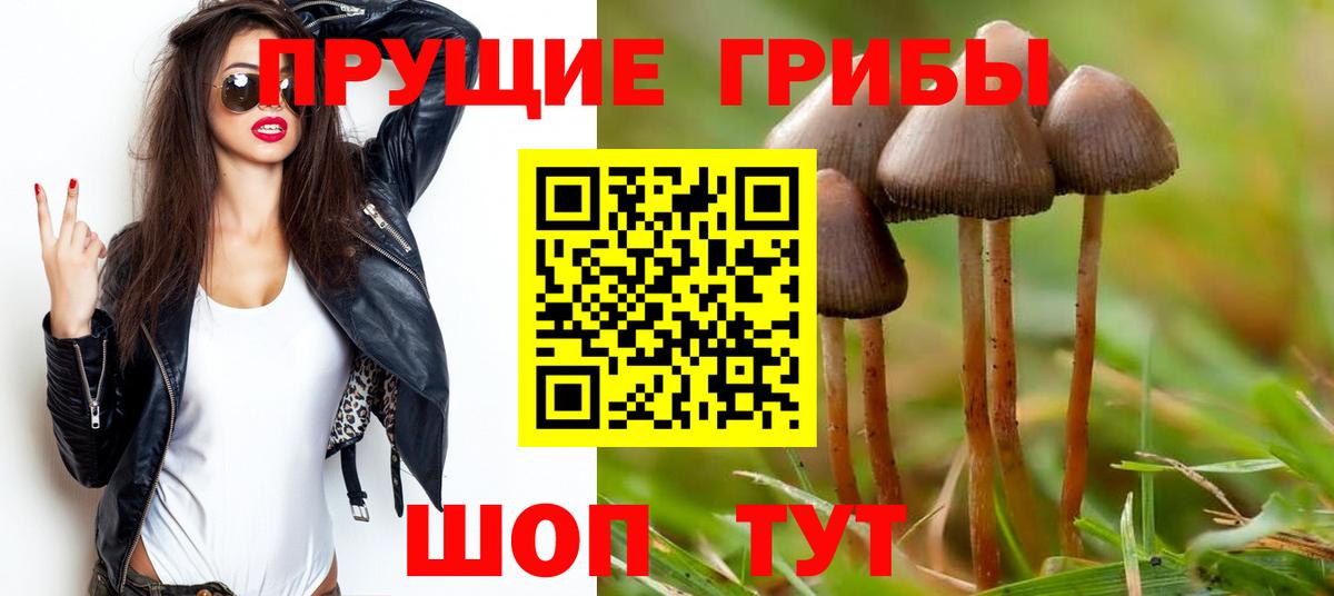 Галлюциногенные грибы GOLDEN TEACHER Ржев
